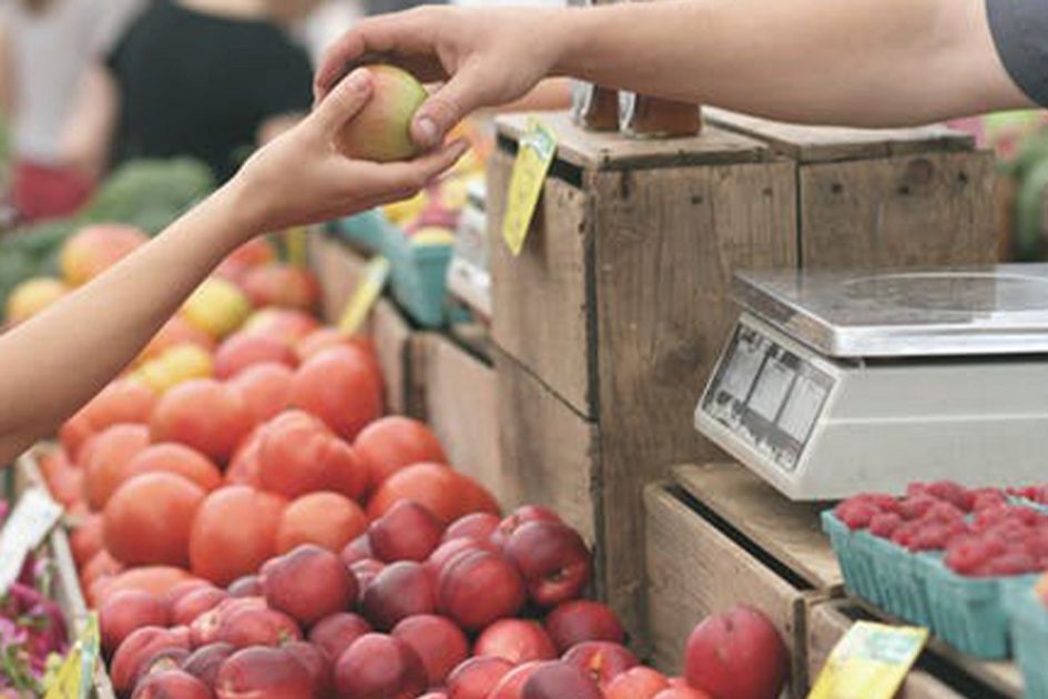 No thumbnail image for WVU, Department of Agriculture working to address food deserts